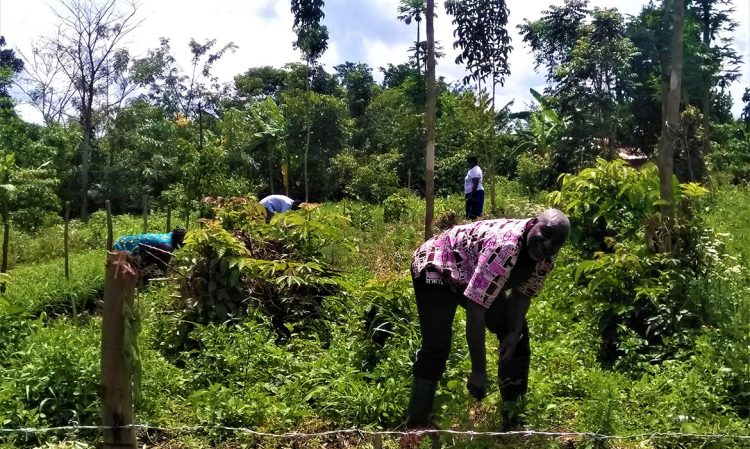 Training the People of Kiyunga with Skills