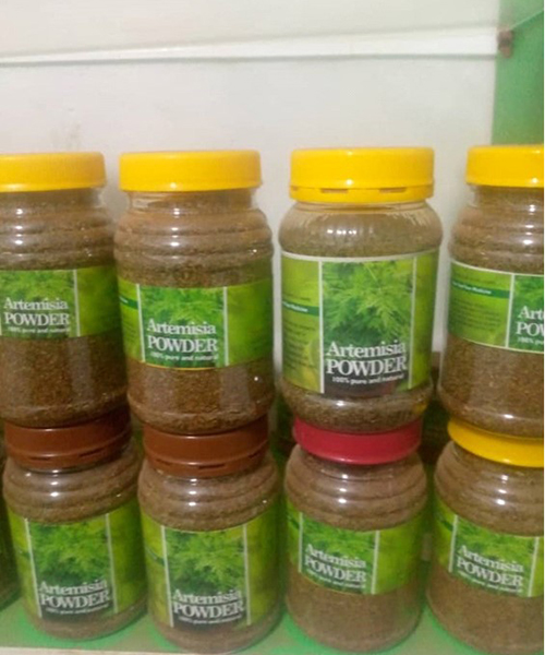 Artemisia;