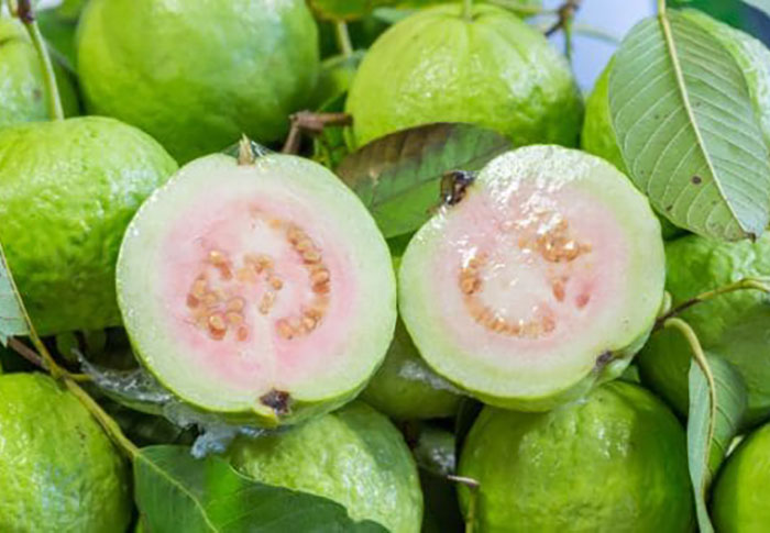 Guava